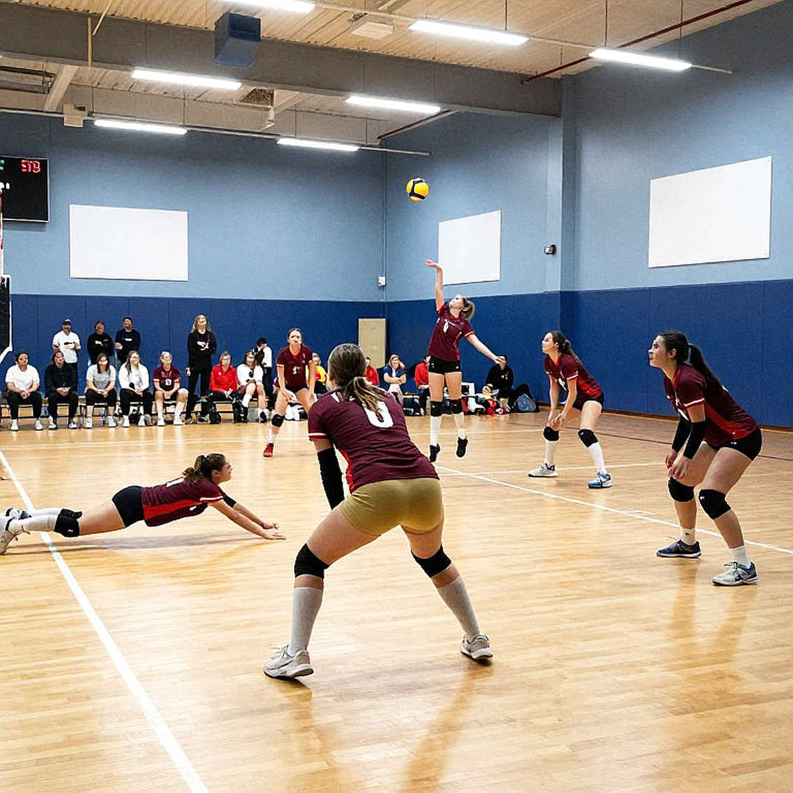 LA 2028 Men's Volleyball: Six Berths Locked, Reigning Champion France Still Waiting