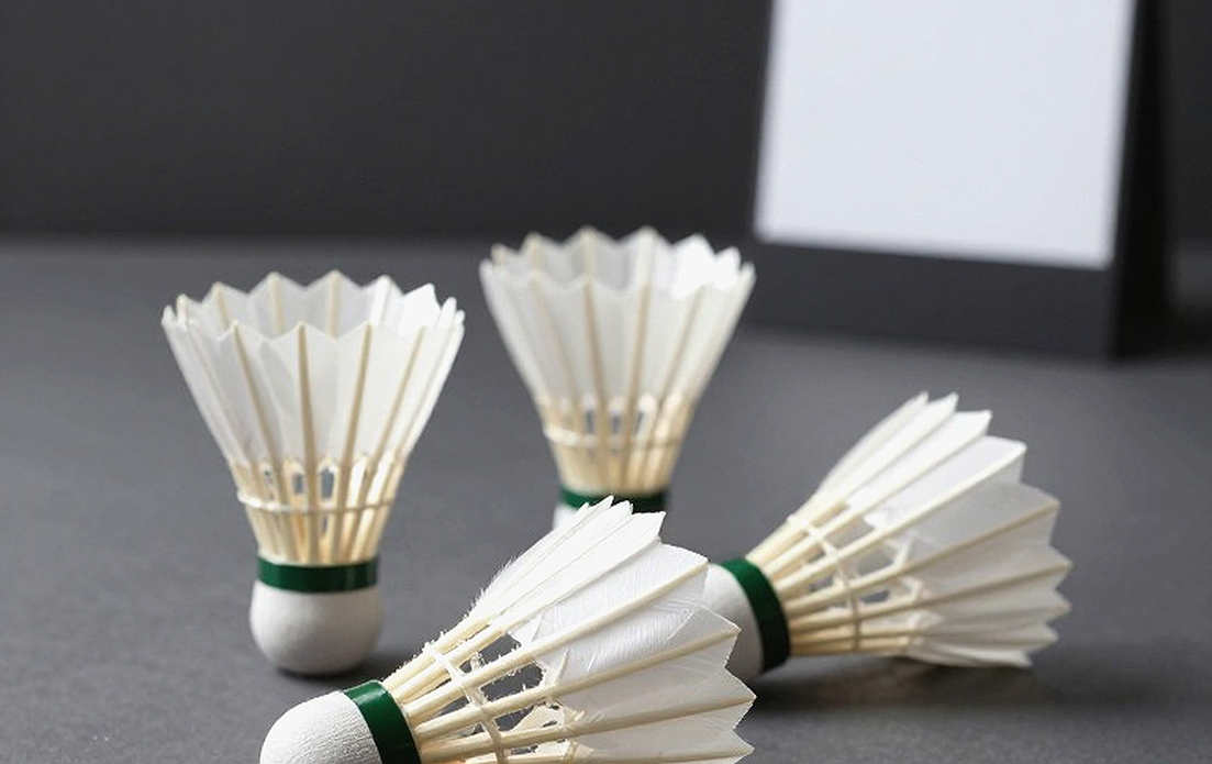 Asian Games 2026: The Badminton Draw, a Compressed Schedule and Two Unverifiable Pairs Asian Games 2026: The Badminton Draw, a Compressed Schedule and Two Unverifiable Pairs