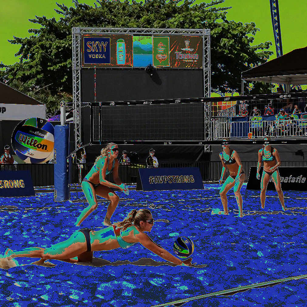 Vietnamese Volleyball Data and the Trap of Incomplete Information