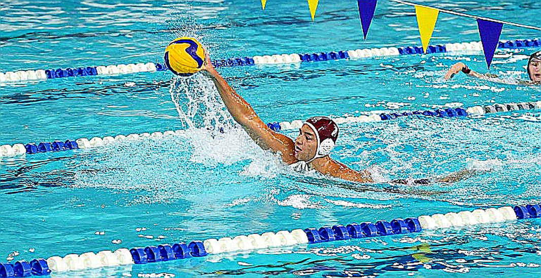 Vietnamese Swimming at Asiad 20: Day Three and the Silence Before Results Speak Vietnamese Swimming at Asiad 20: Day Three and the Silence Before Results Speak